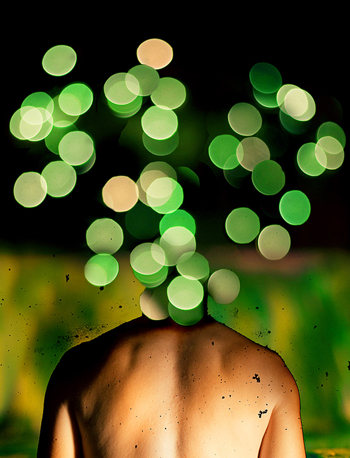 land_5